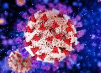 Image of a coronavirus