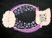 Illustration of the brain and the gut