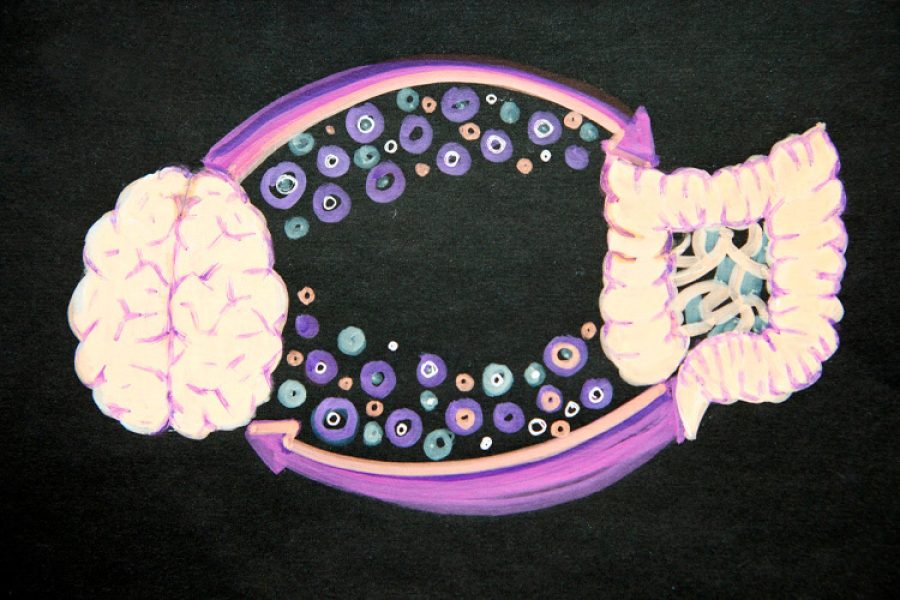Illustration of the brain and the gut