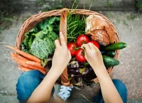 nanoparticles fertilizers