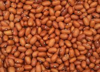 Photograph of beans.