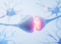 illustration of the synapse between two neurons