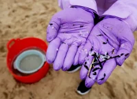 image of gloves with pellets