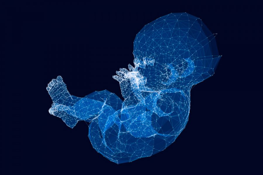 Illustration of a digitized baby