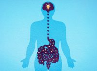 image of a brain connected to the gut