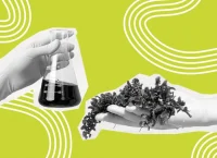 Illustration of Sargassum.