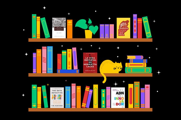 shelves of books in bright colors, dark background and a yellow cat