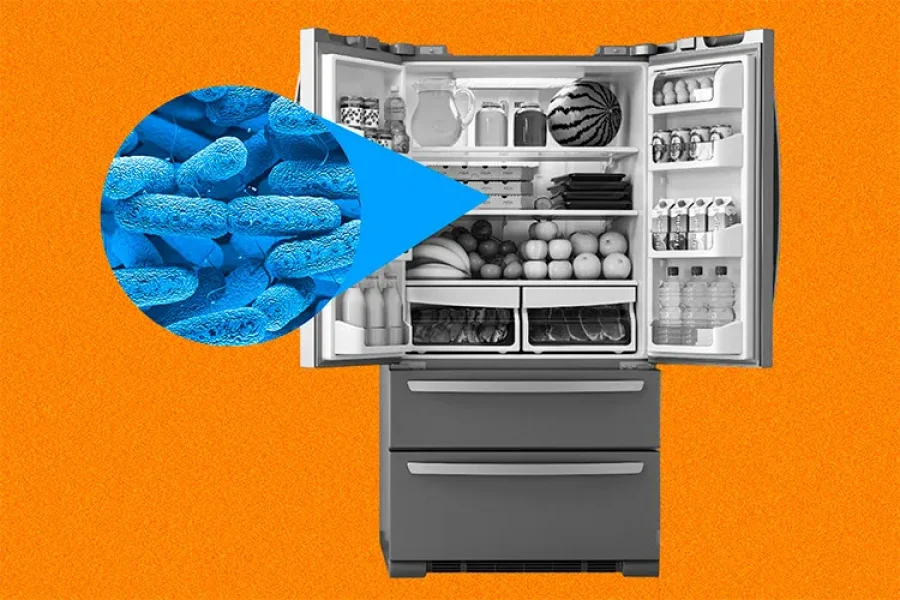 A black-and-white refrigerator showing a close-up of the bacteria forming inside