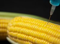 what are transgenics