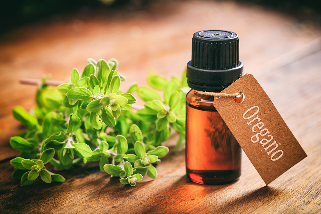 8 usos medicinales que le puedes dar al aceite de orégano - Mejor con Salud