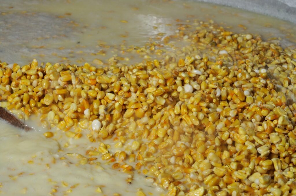 El nejayote: un residuo benéfico para la salud y clave de la economía ...