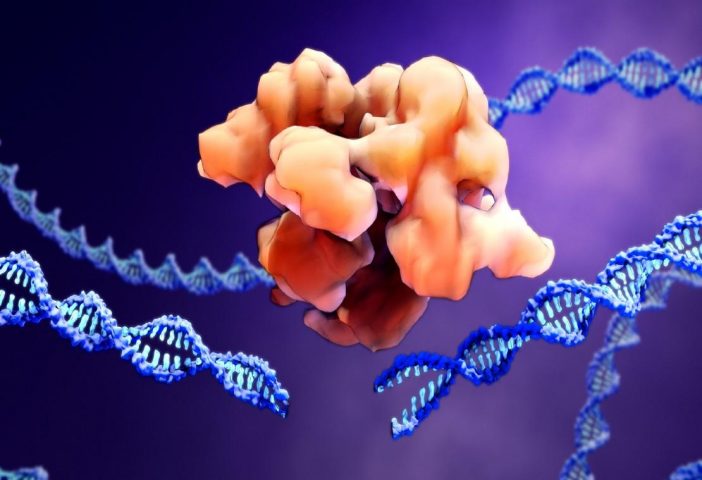 fotografía de una molécula entre cadenas de ADN