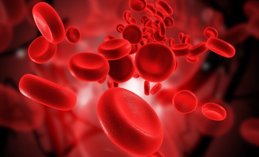 imagen de glóbulos rojos corriendo en las venas