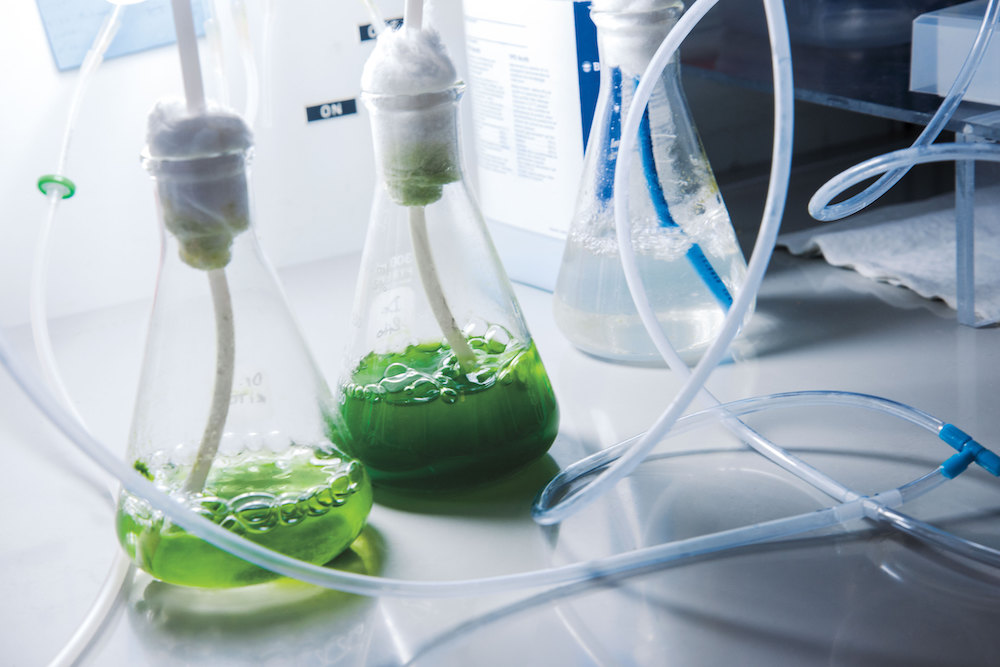 Matraces con líquido verde en un laboratorio