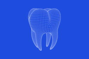 visualización tridimensional de un diente