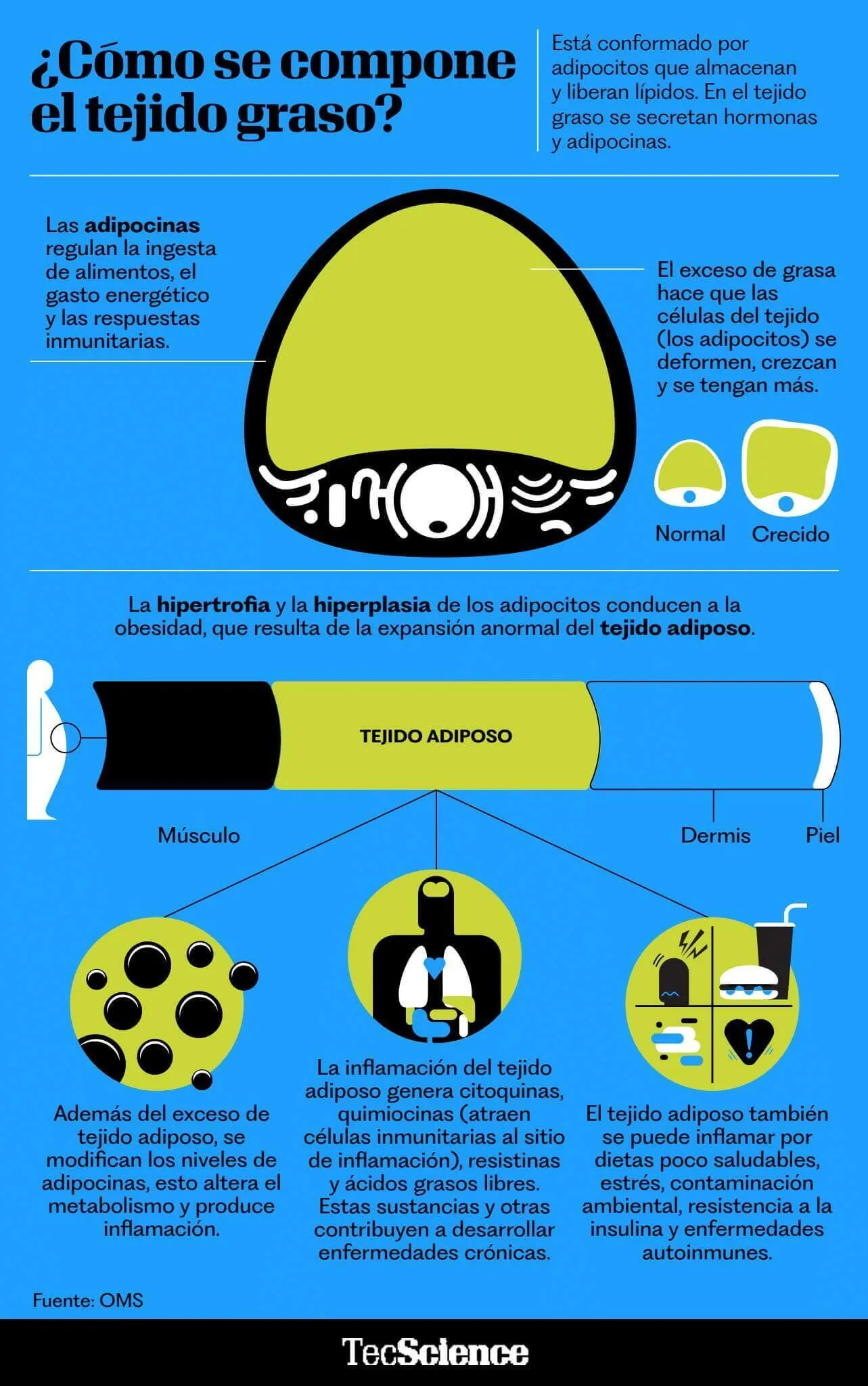 ilustración de científicos revisando comida