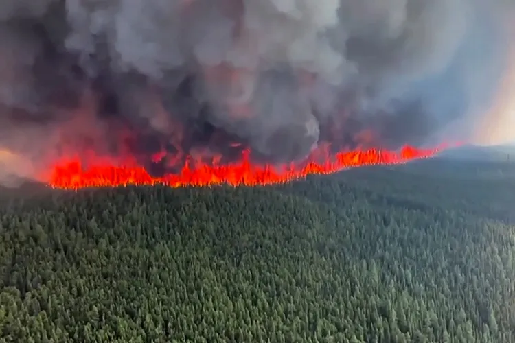 imagen de los incendios en canada