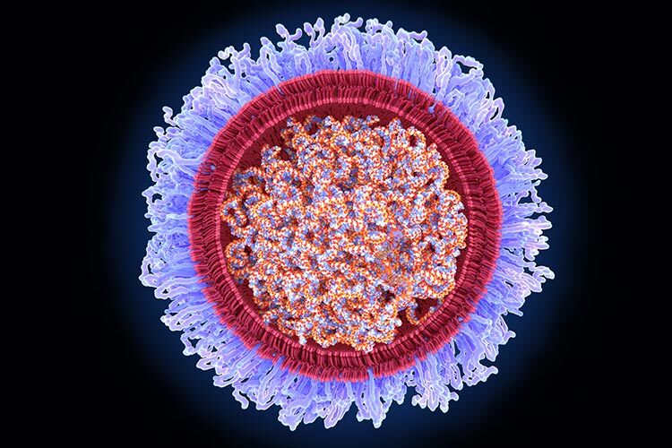 En la ilustración vemos la vacuna de ARN contra Covid-19. La vacuna consta de hebras de ARNm (ácido ribonucleico mensajero) encerradas en una esfera de nanopartículas lipídicas (roja) rodeada por una capa de polietilenglicol (violeta).