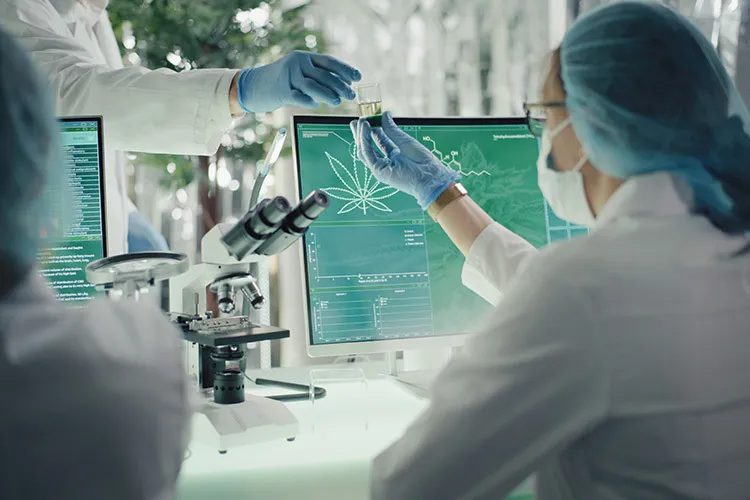 imagen de un laboratorista usado cbd