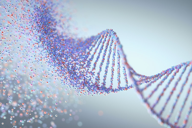 Ilustración de la doble hélice del ADN