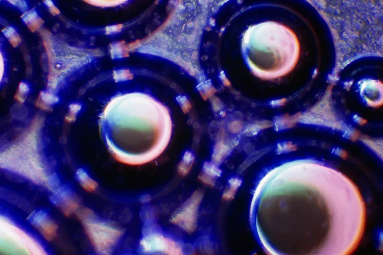 imagen de saliva en el microscopio
