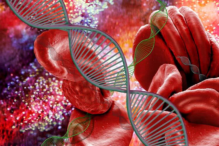 Se muestra una imagen generada por computadora de moléculas (hélices) de ADN (ácido desoxirribonucleico) y glóbulos rojos. Hay una serie de trastornos sanguíneos causados por mutaciones genéticas y, por lo tanto, pueden transmitirse de padres a hijos.