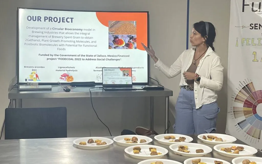 pan de bagazo cervecero