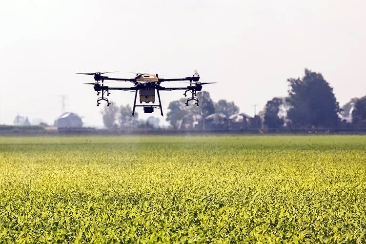 Un dron sobrevuela un campo de agricultura en el CAETEC
