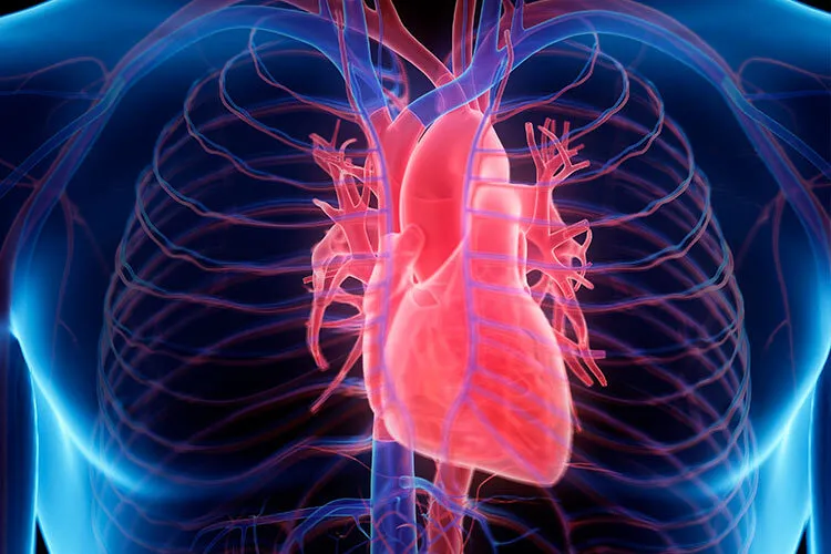 Causas de insuficiencia cardíaca