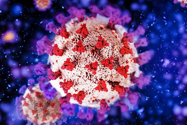 imagen de un coronavirus