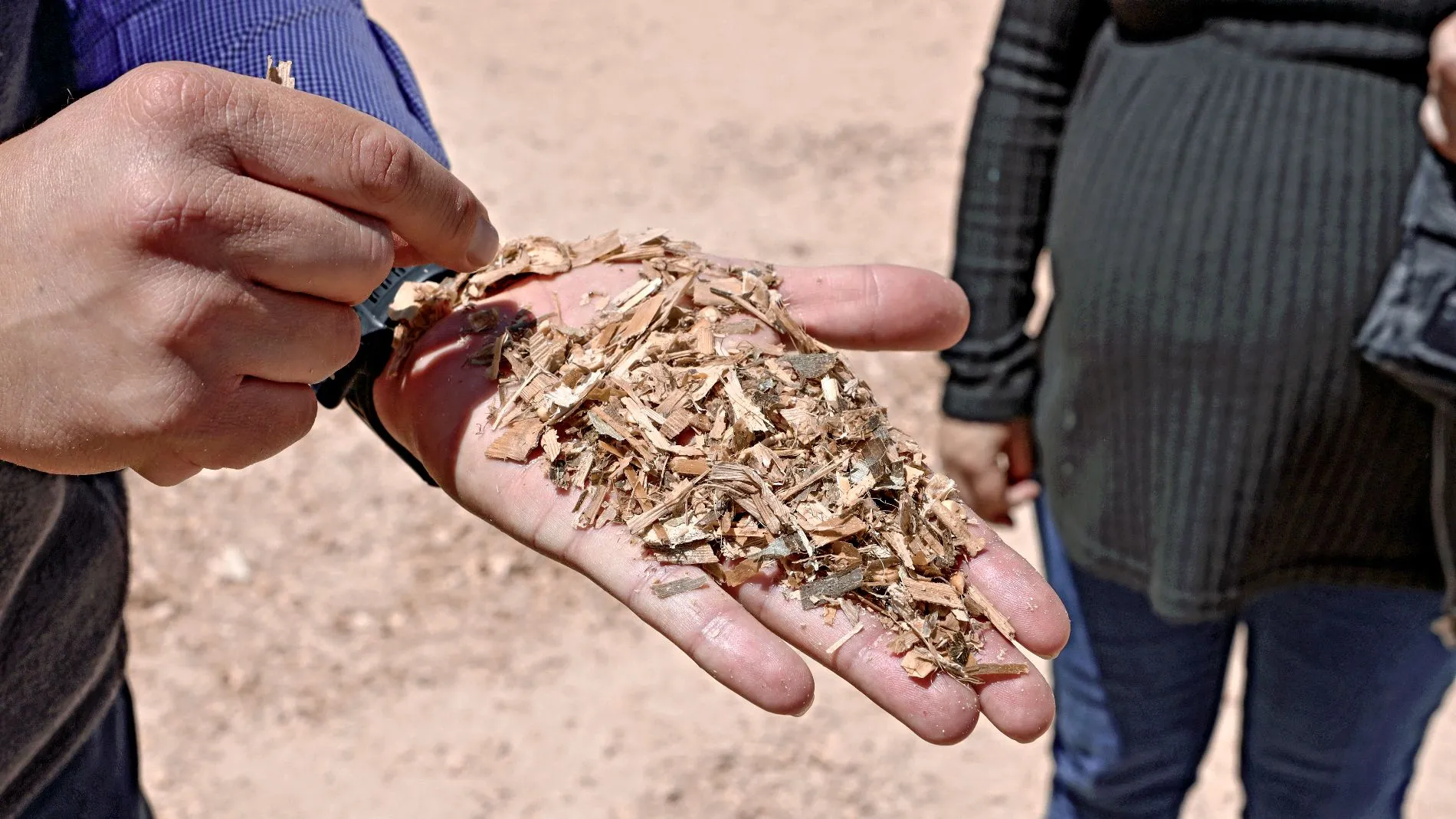 Dentro de las líneas de investigación del proyecto se evaluará la alimentación, la genética, los procesos gastrointestinales y hasta los horarios de comida de las vacas para definir mejores prácticas y así tener un mejor tratamiento del estiércol y disminuir la emisión de gases de efecto invernadero.