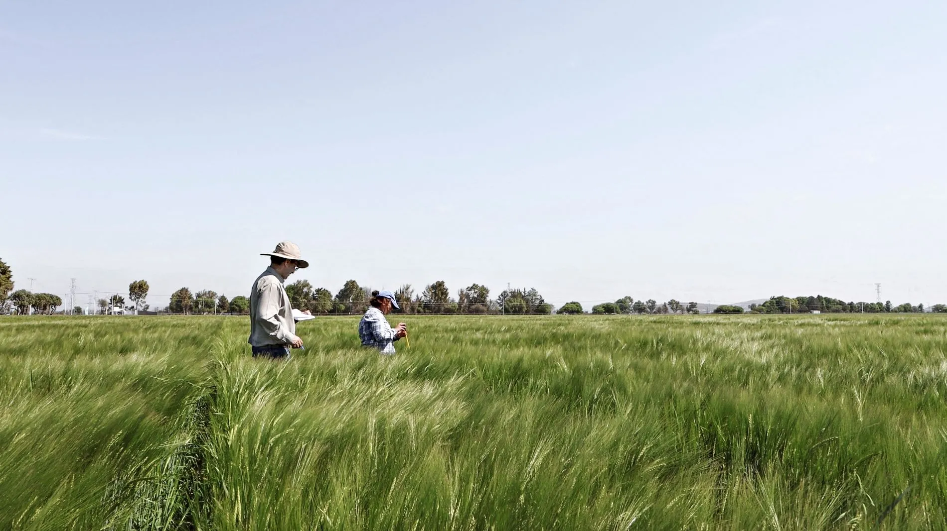 CAETEC, una “granja” de datos

Sumario:  
El Campo AGRO Experimental (CAETEC), parte del campus Querétaro, es el laboratorio más grande que tiene el sistema Tec de Monterrey. Es un gran espacio con interconexiones en la industria. 
(emoji foto) Amirhossein Hosseini