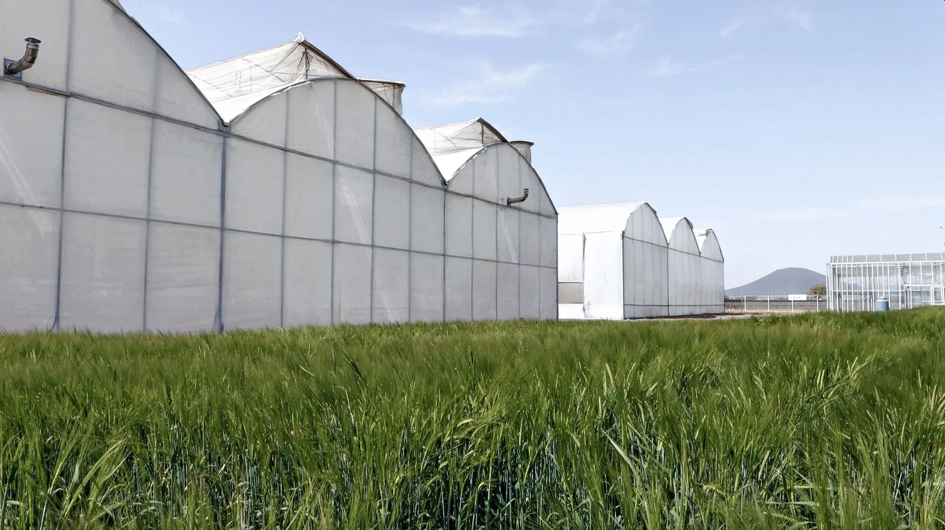 Entre las principales misiones del CAETEC están la de fungir como un centro de investigación que permita poner en práctica proyectos con la industria, vinculaciones con universidades extranjeras y planes de innovación educativa.