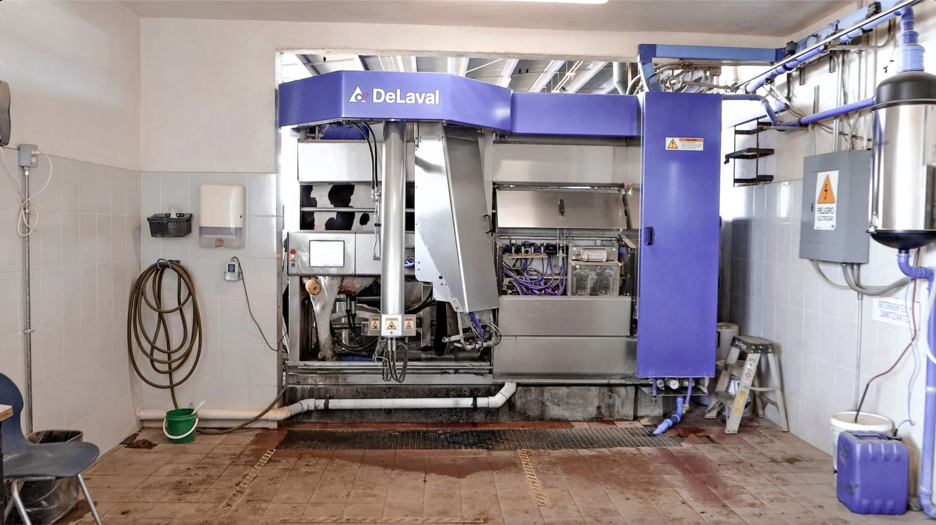 El sistema de ordeña DeLaval es una de las razones por las que Nestlé eligió el CAETEC –que cuenta con tres de estos cinco robots en México– para desarrollar un proyecto a nivel global que busca reducir las emisiones de metano que produce el estiércol de las vacas.