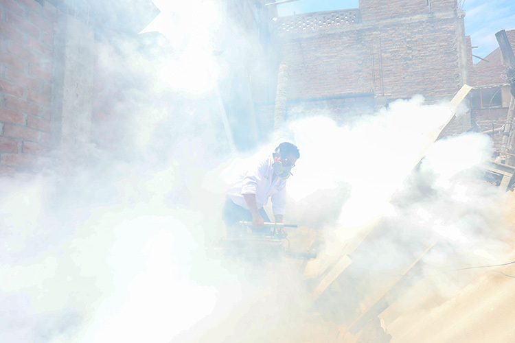 Autoridades en Lima Perú toman medidas sanitarias contra la propagación de enfermedades por mosquitos como el dengue y el oropouche.