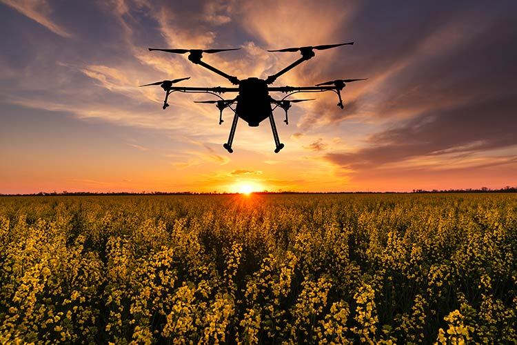 un dron recorre un campo de cultivo y agricultura de precision