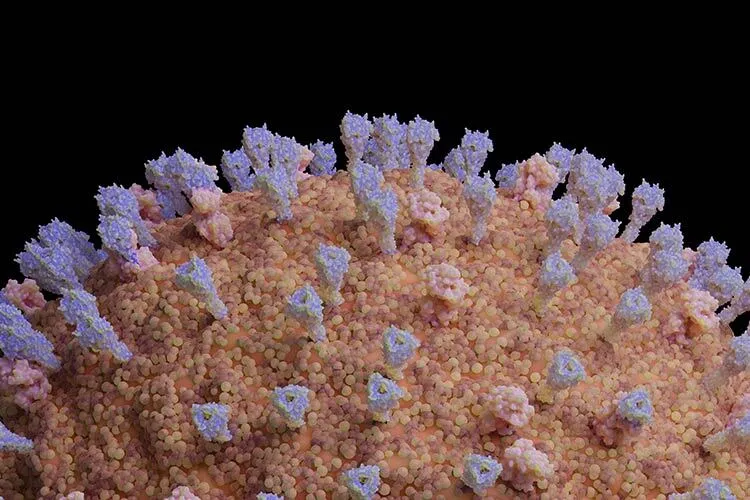 imagen conceptual del metapneumovirus