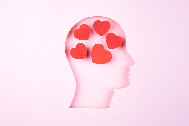 cerebro enamorado ilustración corazones en la mente