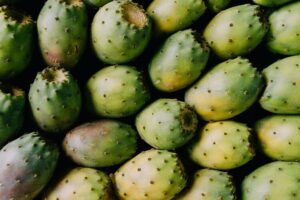 acercamiento de varias tunas