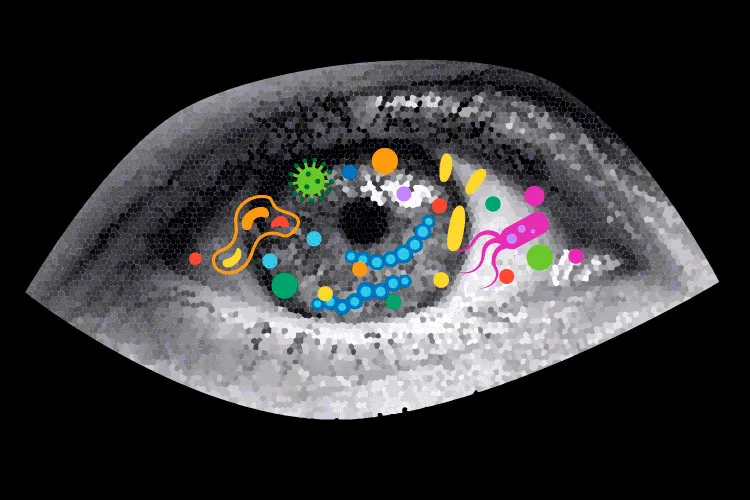 ilustración de microorganismos en el ojo