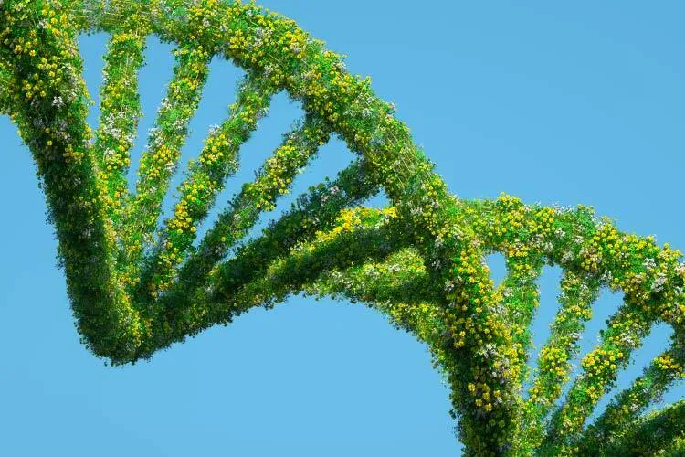 imagen de adn de plantas