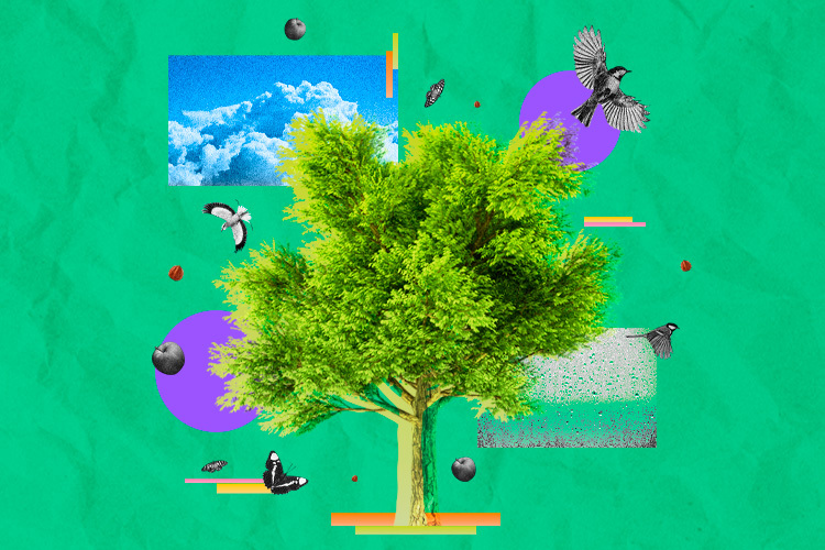 imagen de un árbol