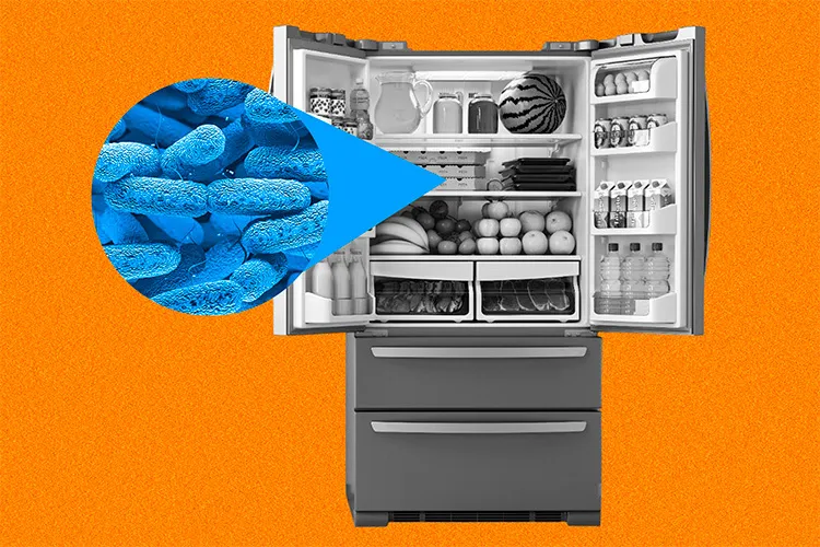 refrigerador en blanco y negro que muestra un acercamiento a las bacterias que se forman dentro