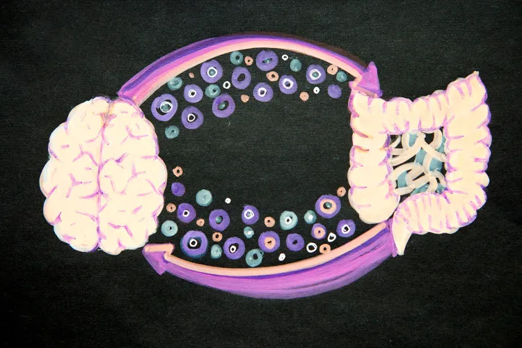 ilustracion de un intestino junto a un cerebro