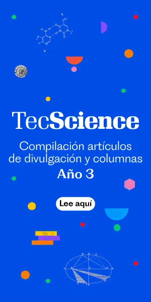 BoxBanners-Revista-1 (1)