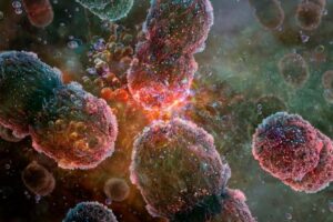 comunidades bacterianas