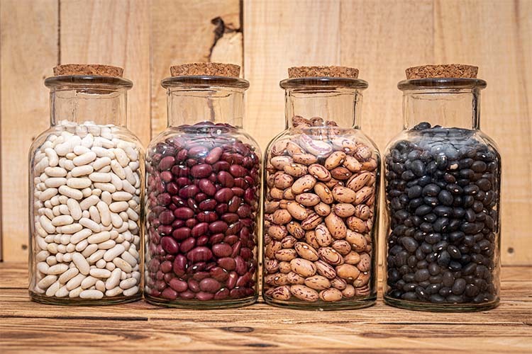 frijol semillas secas