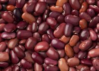 fotografía de frijoles