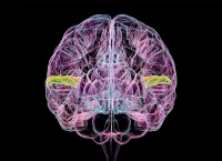 ilustración de un cerebro