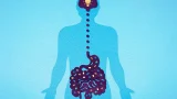 Relación entre microbiota intestinal y salud mental .